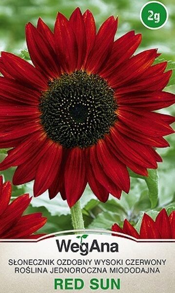 Saulespuķes dekoratīvās RED SUN sarkanas 2 g WegAna