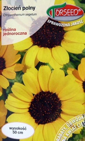 Sējumu krizantēma El Dorado 2 g Torseed A.P.