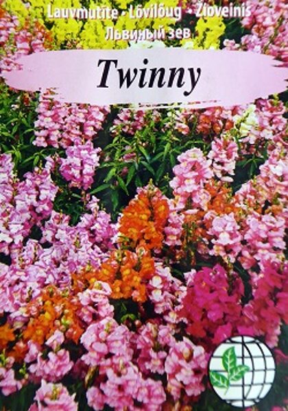 Zemās lauvmutītes Twinny 12 gab Agrimatco