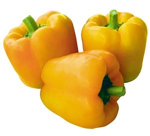Paprika SOLANOR F1 10 gab CLAUSE