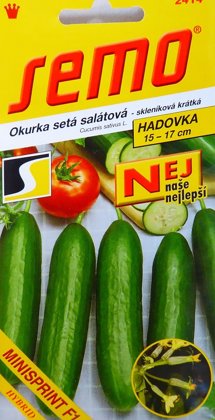 Gurķi Minisprint F1 10 gab Semo