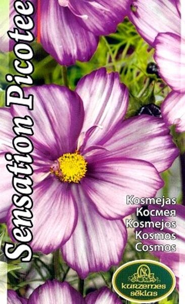 Divplūksnu kosmejas klajās Sensation Picotee 0.4 g Kurzemes sēklas