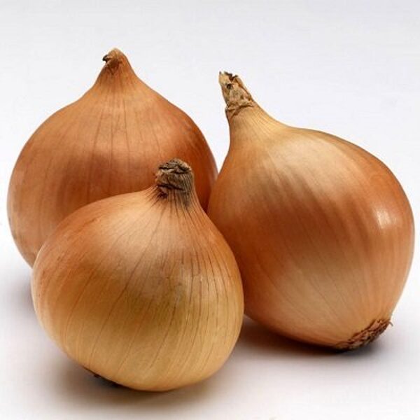 Sīksīpoli  CENTURION 1 kg Frakcija: 14/21  Holande