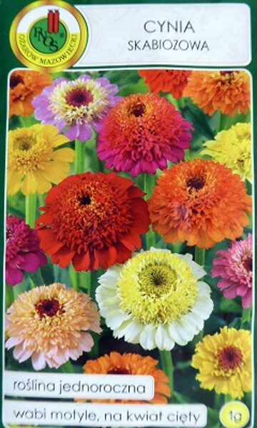 Cinnijas skabiozziedu MIX Cynia skabiozowa 1 g PNOS