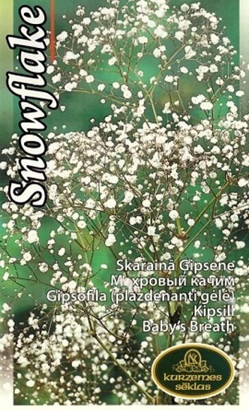Skarainā ģipsene Snowflake 200 mg Kurzemes Sēklas