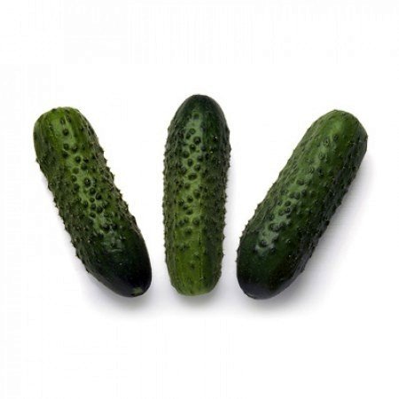 Gurķi Sonate F1 35 gab Rijk Zwaan 