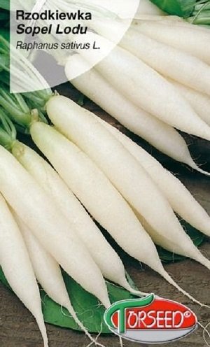 Redīsi Sopel Lodu 10 g Torseed