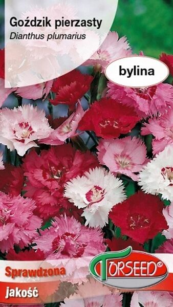 Spalvu neļķes MIX 0.5 g Torseed