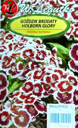 Studentu neļķes Holborn Glory 0.5 g W.Legutko