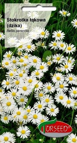 Pļavas margrietiņa 0.2 g Torseed