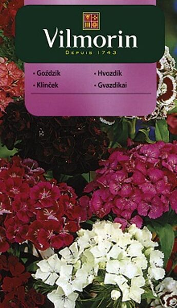 Studentu neļķes MIX 1 g Vilmorin