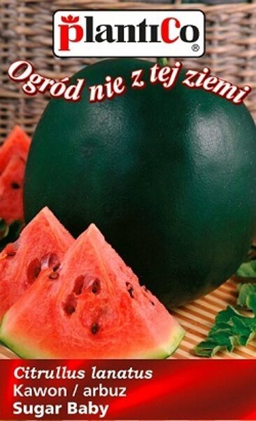 Arbūzi SUGAR BABY 2 g PlantiCo