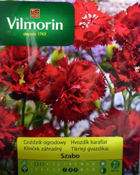 Dārza neļķes SZABO 500 mg Vilmorin
