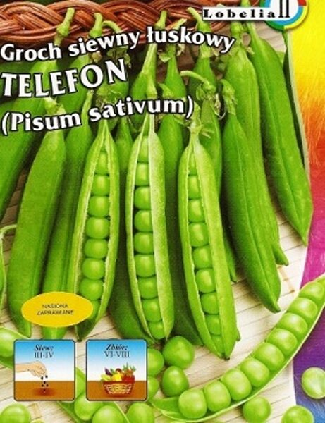 Zirņi TELEFON 50 g Lobelia II