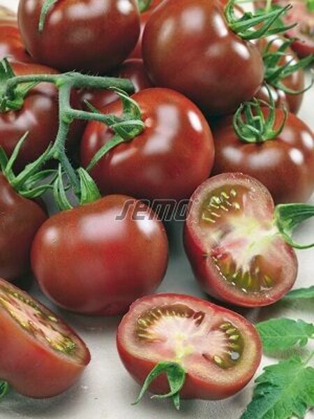 Tomāti Brunito F1 5gab SEMO