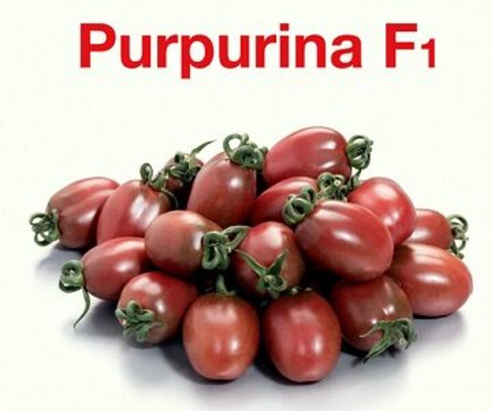 Tomāti PURPURINA F1 30 gab Yüksel Tohum