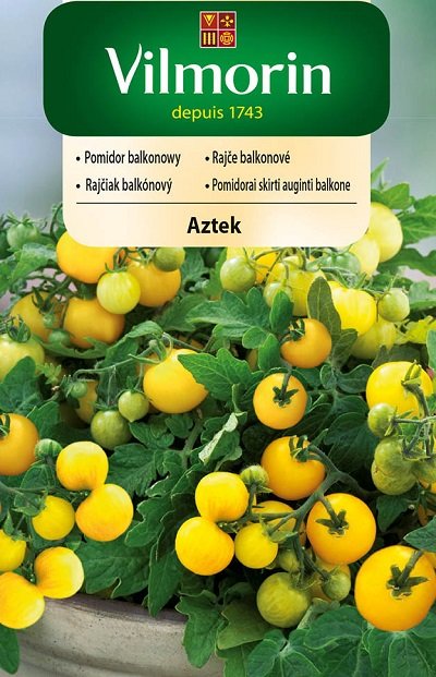 Tomāti Aztek 300 mg Vilmorin