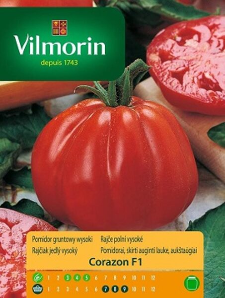 Tomāti CORAZON F1 100 mg Vilmorin (P)