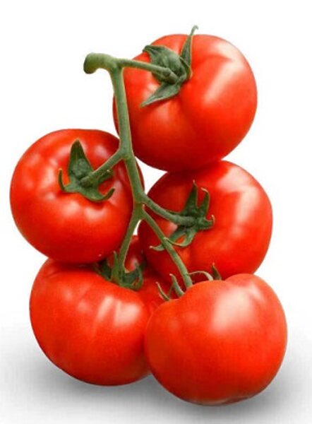 Tomāti Runner F1 5 gab Fito Semillas