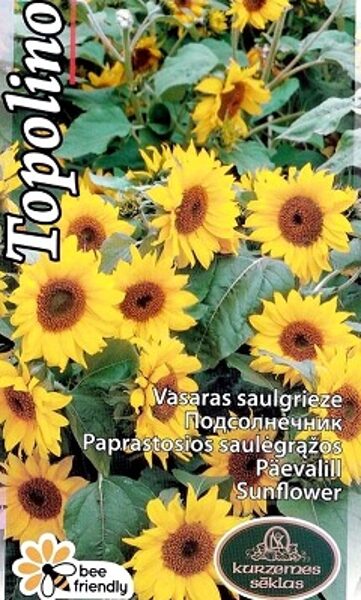 Saulespuķes zemās TOPOLINO 0.8 g Kurzemes Sēklas