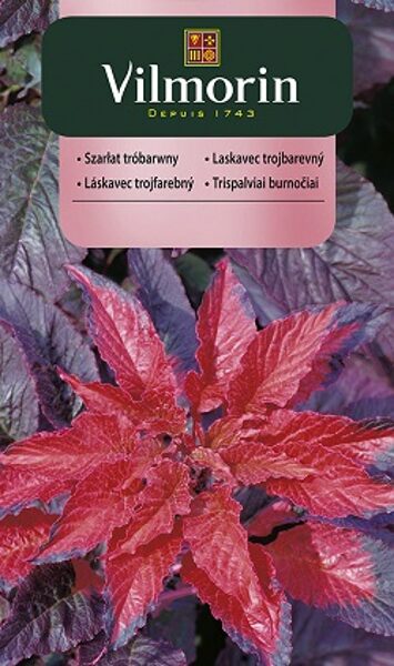 Trīskrāsu amarants  1 g Vilmorin