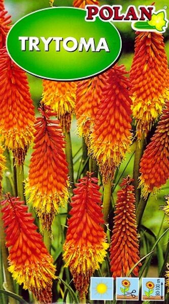Ķekarainā knifofija Trytoma 0.2 g Polan