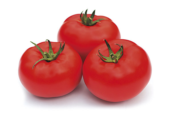 Tomāti TSARINE F1 5 gab Syngenta