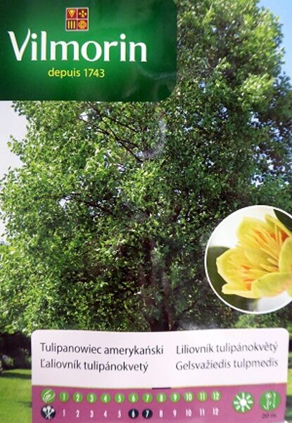 Amerikas tulpjukoks (Liriodendron tulipifera) 300 mg Vilmorin