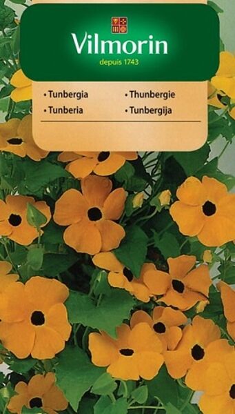 Spārnainā tunbergija 500 mg Vilmorin