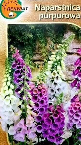 Purpursarkanā uzpirkstīte MIX 0.5 g Rekwiat