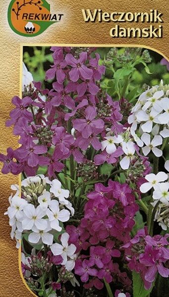 Vakarene smaržīgā (Wieczornik damski) MIX 1 g Rekwiat