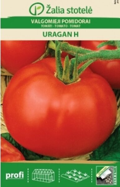 Tomāti Uragan H 0.1 g  Žalia stotelė