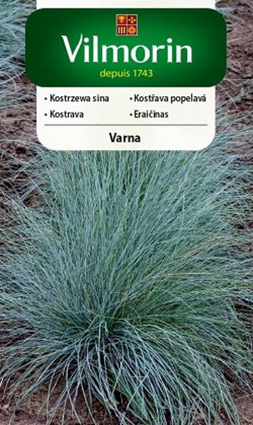 Zilganzaļā auzene VARNA 400 mg Vilmorin