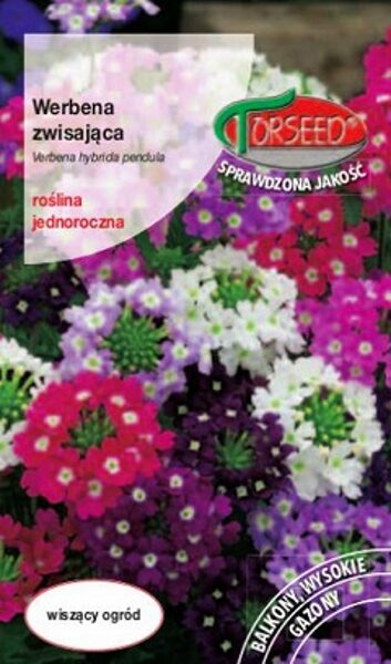 Nokarenā verbēna MIX 0.1 g Torseed