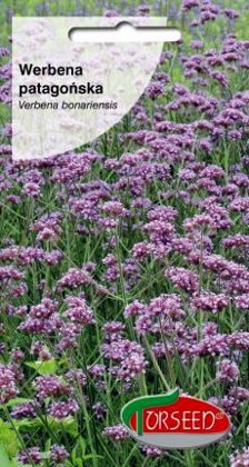 Dienvidamerikas verbena 0.1 g Torseed