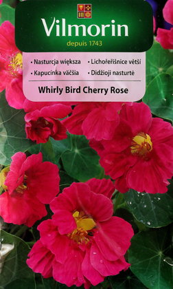 Krese WHIRLY BIRD CHERRY ROSE 3 g Vilmorin