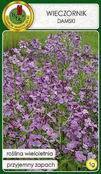 Vakarene smaržīgā (Wieczornik damski) violeta 1 g PNOS