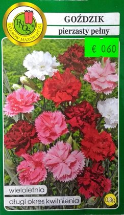 Spalvu neļķes MIX 0.3 g PNOS