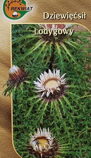 Bezstumbra zeltdadzis 0.3 g Rekwiat