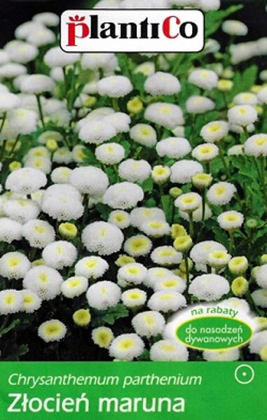 Zeltpīpenīšu krizantēma  Maruna 200 mg PlantiCo
