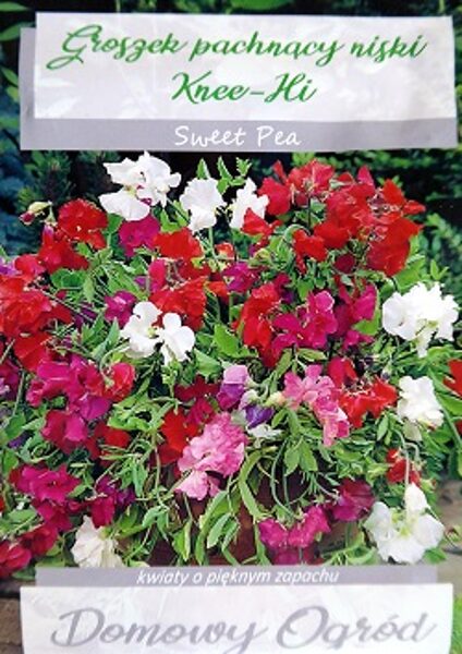   Puķuzirņi smaržīgie zemie Knee-Hi MIX 5 g W.Legutko