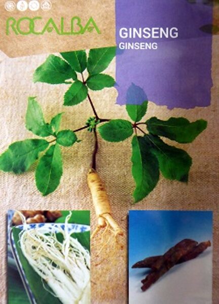 Žeņšeņs GINSENG 4 gab ROCALBA